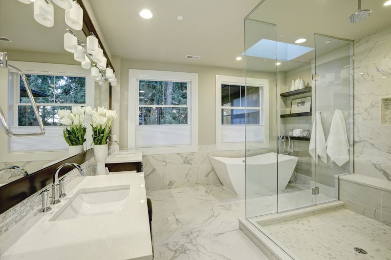 Luxury Shower and Tub Area